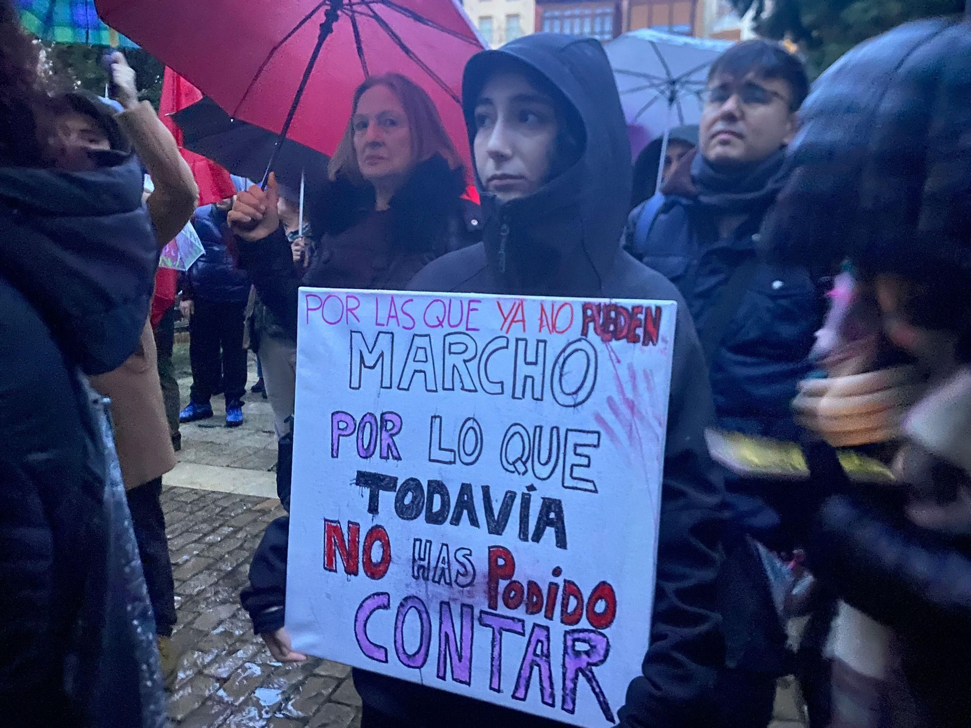 Las imágenes del 8M en Logroño: la fuerza del feminismo venció a la lluvia