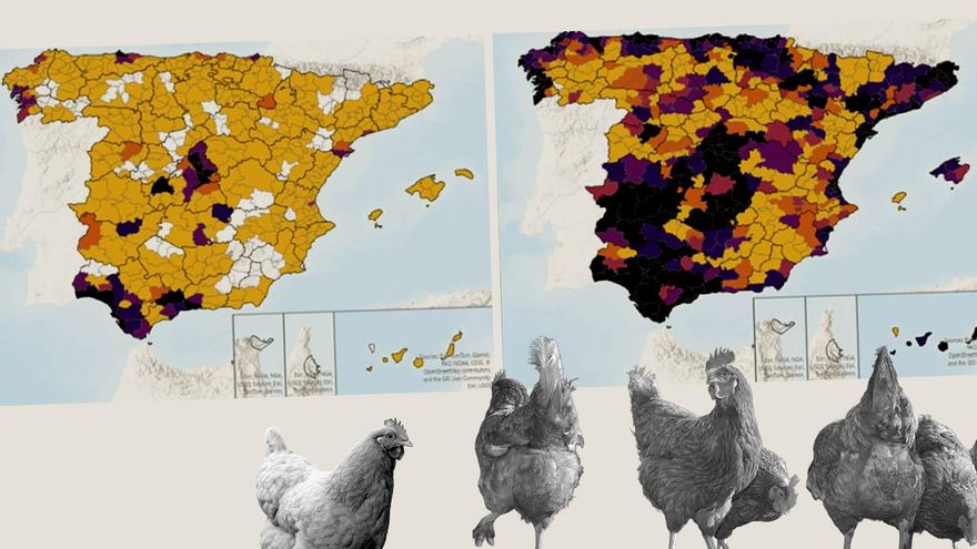 Así evoluciona la expansión de la gripe aviar que ha obligado a confinar las granjas de aves en toda España