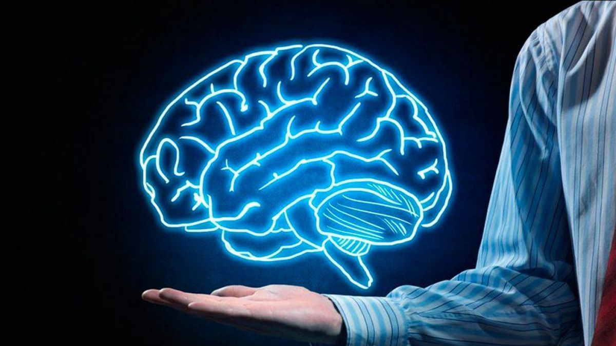 Día Mundial del Cerebro: ¿por qué se celebra el 22 de julio?