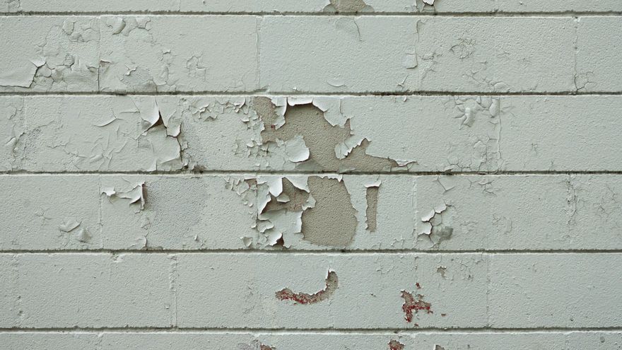 El mejor truco casero para quitar la humedad de las paredes sin dañar la pintura