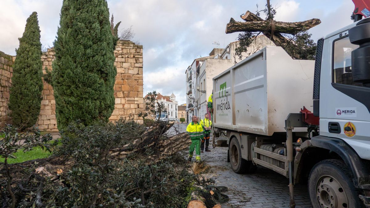 El Gobierno sumará a Cáceres, Mérida y Badajoz a las ayudas por los daños de las borrascas