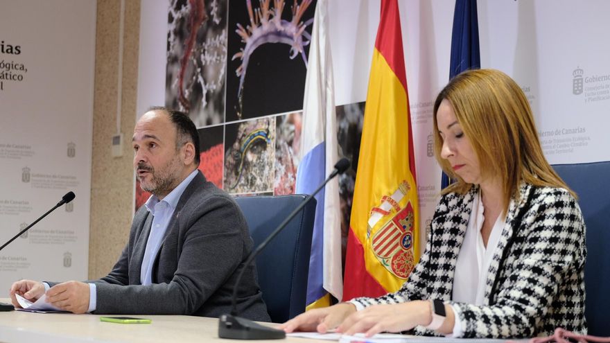 El consejero de Transición Ecológica, Lucha contra el Cambio Climático y Planificación Territorial del Gobierno de Canarias, José Antonio Valbuena, y la directora regional de Energía, Rosana Melián.