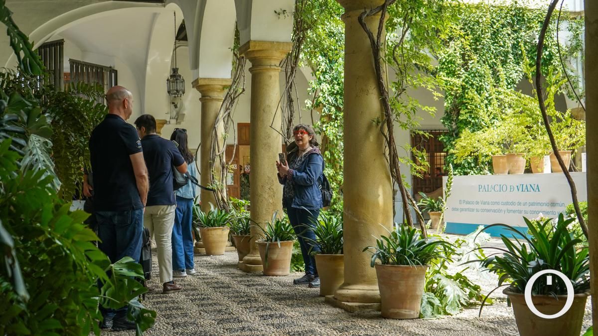 Jornada de puertas abiertas en todos los Patios del Palacio de Viana