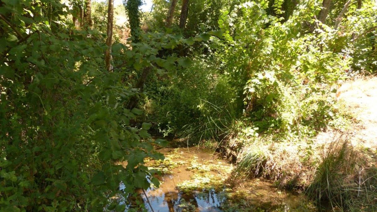 Córdoba acoge una jornada para evaluar la trayectoria de la Reserva Natural Fluvial del Bejarano
