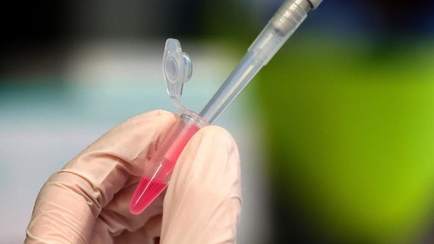 Oxford ya produce vacunas para venderlas en diciembre una vez testadas