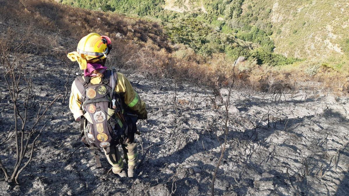 Bombero Forestal de La Rioja, en una imagen de archivo