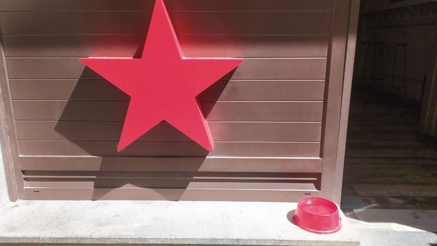 Doce restaurantes y cafeterías de Castilla-La Mancha donde puedes ir con tu perro para disfrutar esta Semana Santa