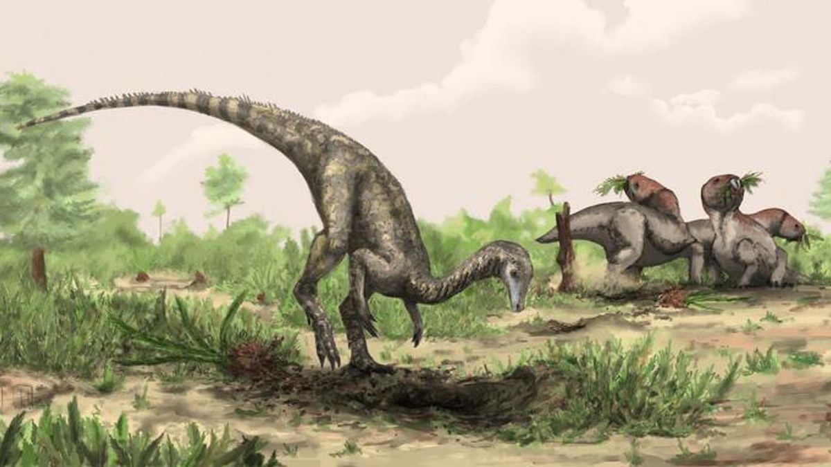 La comparación entre especies vivas muestra que mamíferos, aves y reptiles incluyen ejemplares muchísimo menores que los dinosaurios terrestres más pequeños
