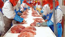 Planta de tratamiento de la carne de Westfleischs.