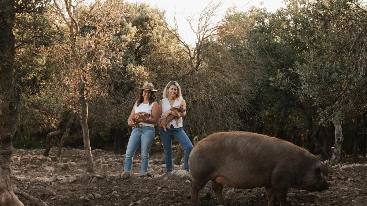 Embutidos Luis Gil invita en BioCultura a reflexionar sobre la ganadería en el futuro de la alimentación y sostenibilidad