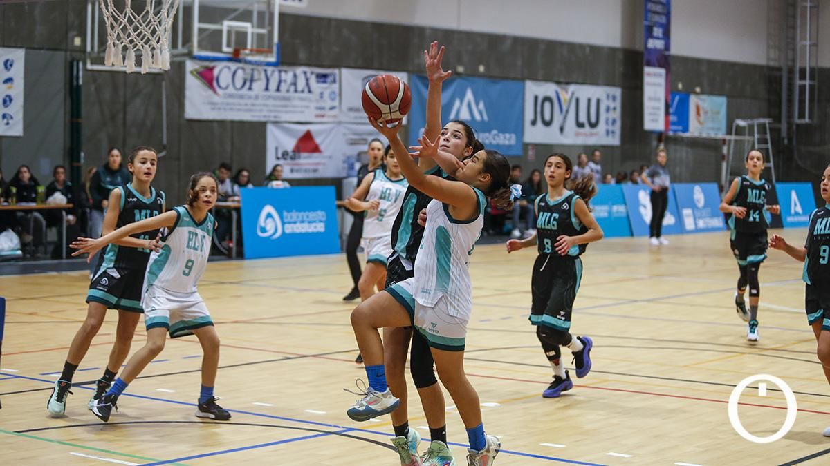Finales del campeonato de andalucía de minibasket femenino