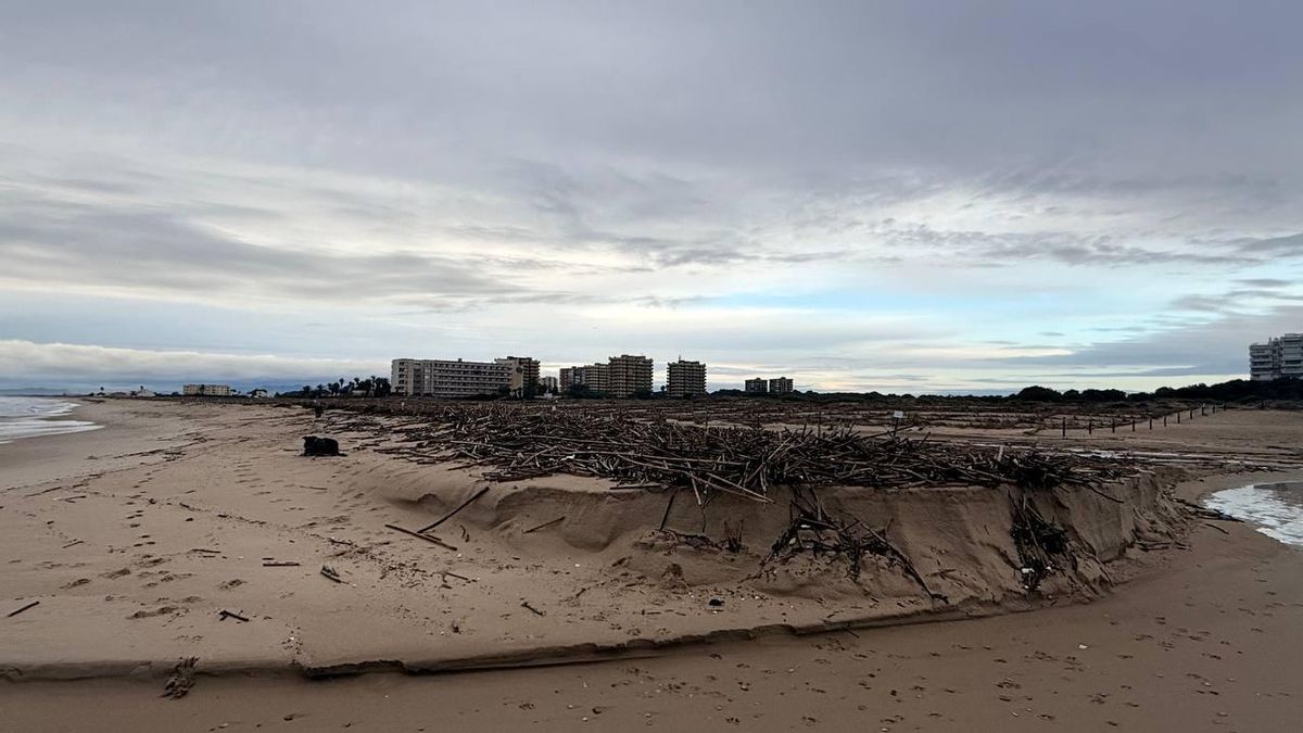Estado en el que ha quedado la playa de El Saler, en València, después del paso del temporal del pasado domingo.