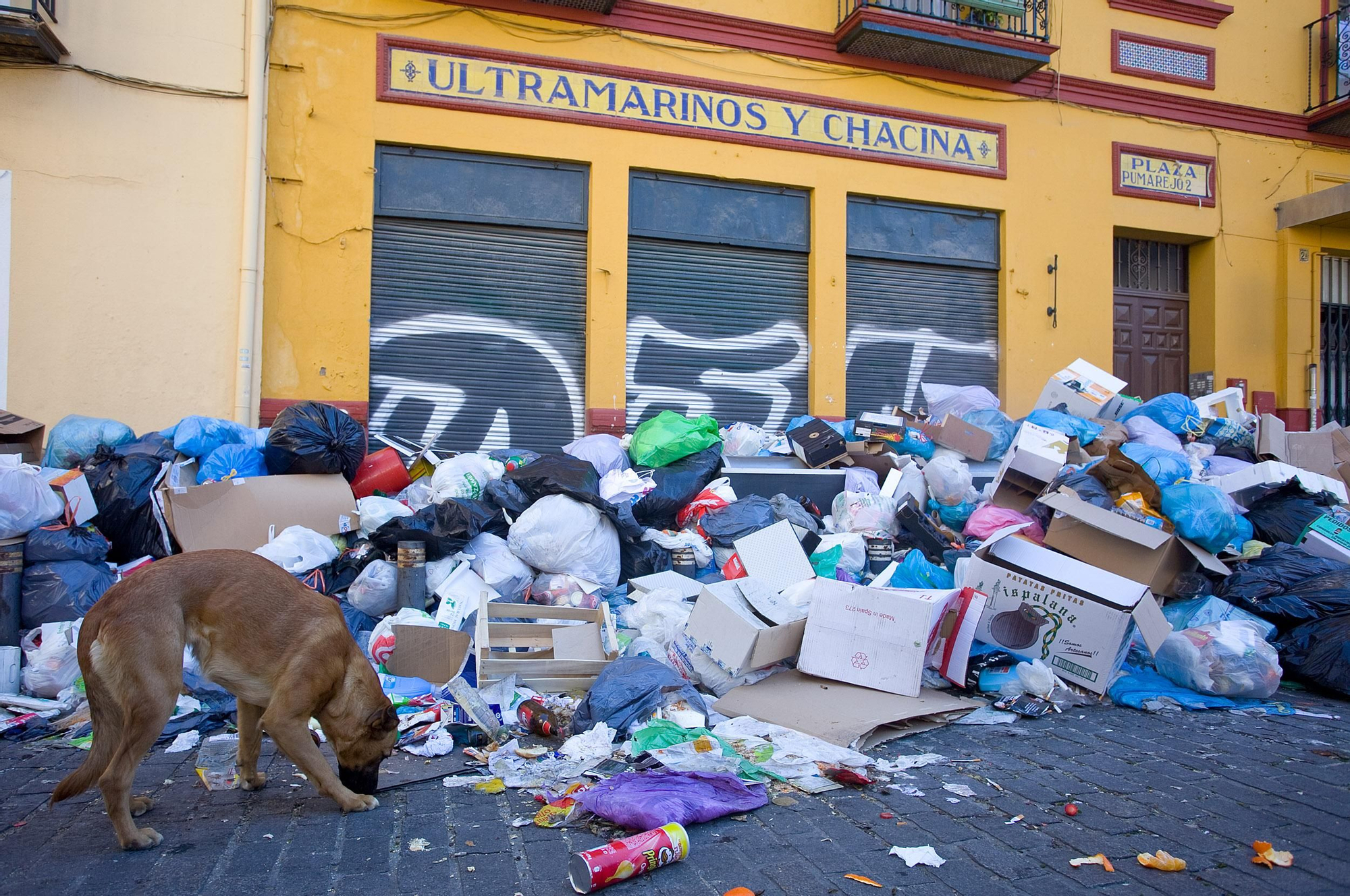 Huelga de los trabajadores del servicio de limpieza en Sevilla / Foto: Luis Serrano