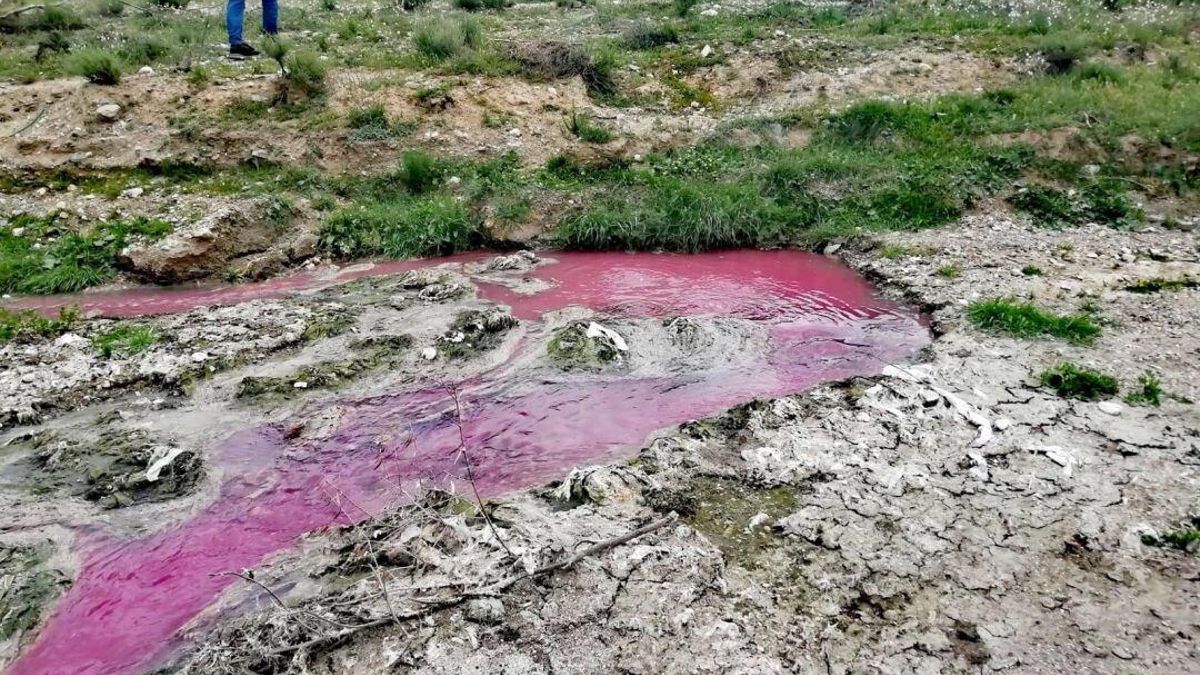 Los análisis realizados demuestran la presencia de la bacteria E. coli en el agua del Vélez.
