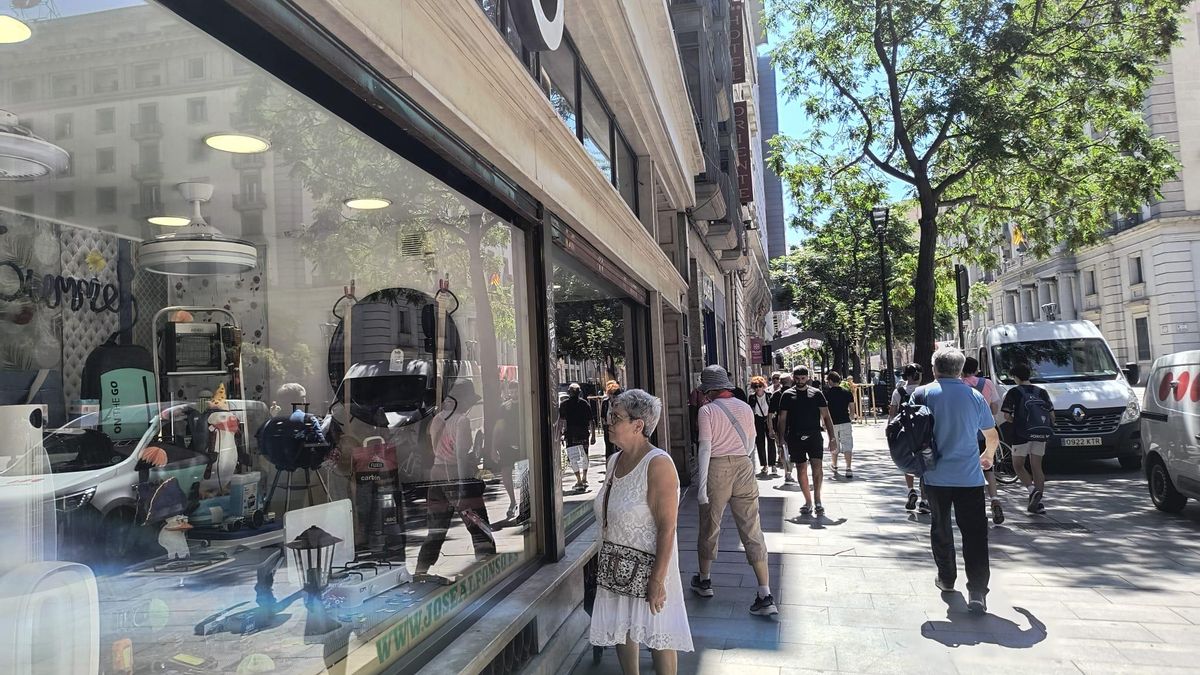 Escaparate ferretería Alfonso. Zaragoza.