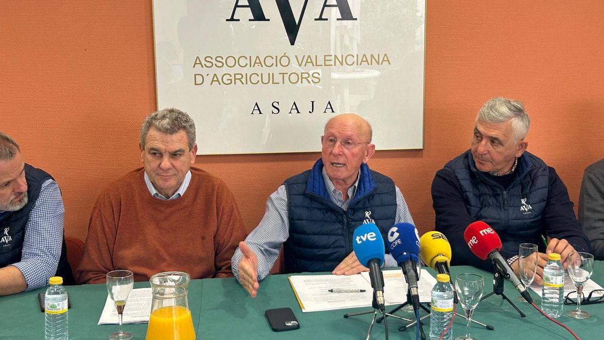 AVA cifra en 340 millones las pérdidas del campo valenciano en 2025: las claves de un año negro para la agricultura