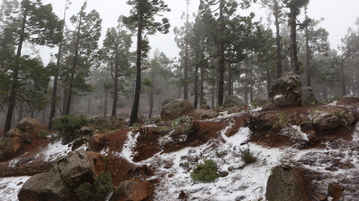 Fotogalería | Nieva en la cumbre de Gran Canaria