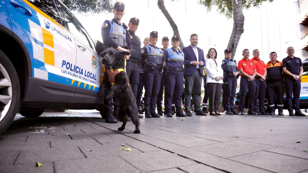 Así será el plan de seguridad y tráfico de Las Palmas de Gran Canaria por la Navidad y Rebajas