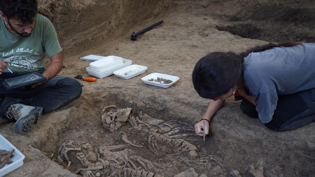 Un proyectil en la cabeza y diez cuerpos recuperados: los hallazgos en la fosa del franquismo de Bodonal de la Sierra