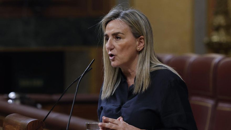 La ministra de Educación, Milagros Tolón, durante su intervención en el penúltimo pleno ordinario del Congreso celebrado este jueves.