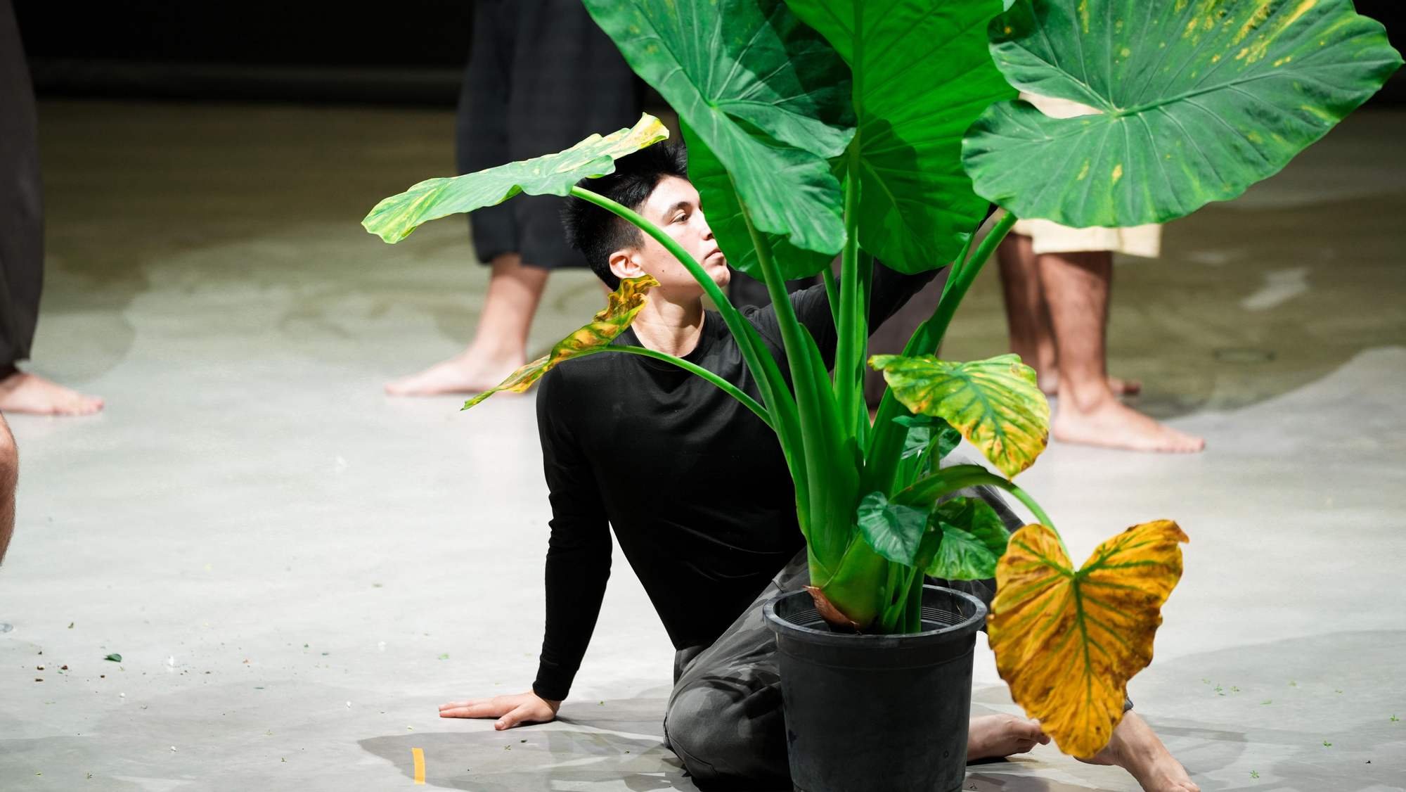 El C3A acoge la acción performativa 'Patios', de la artista Maider López