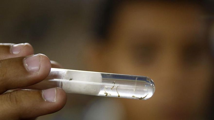 Cuba registra el cuarto caso importado del virus del Zika