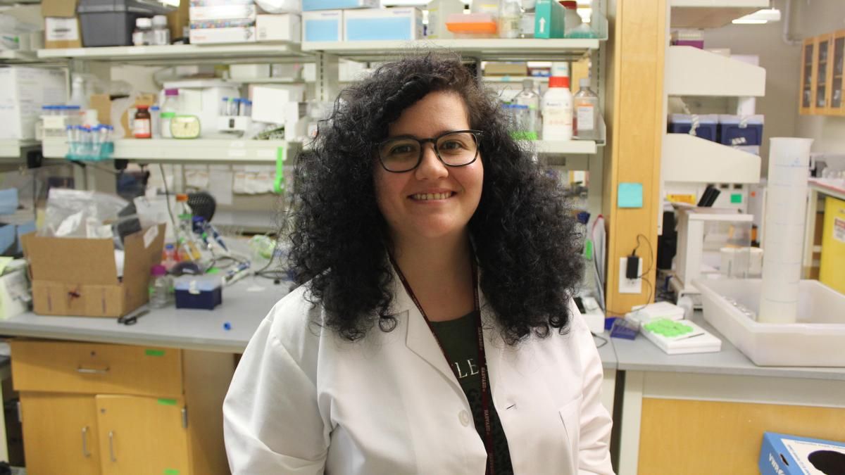 La doctora Nuria Lafuente, en uno de los laboratorios de la Universidad de Harvard.