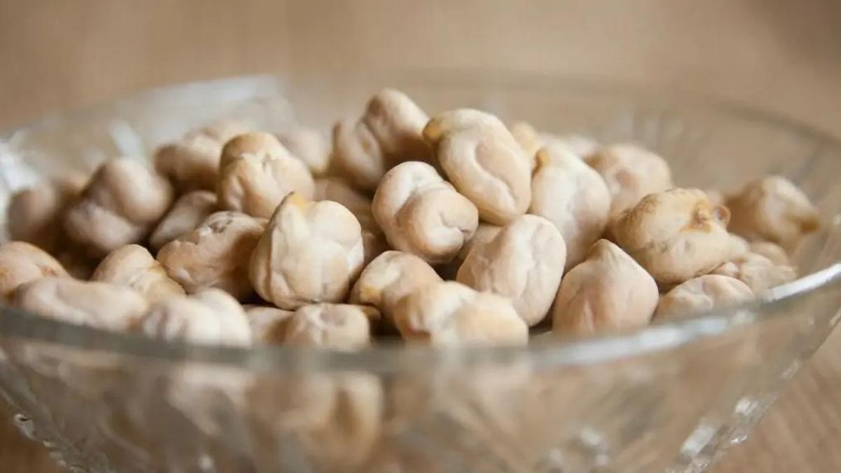 Garbanzo de la Campiña de Córdoba.