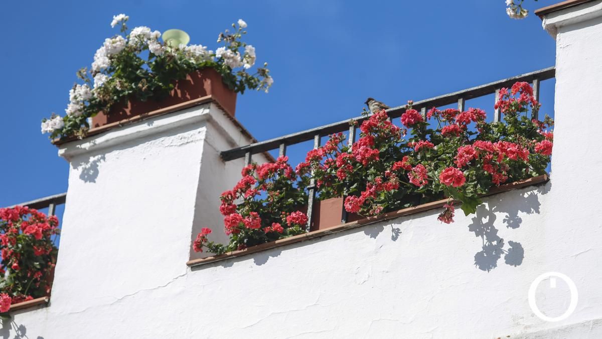 Rejas y Balcones en la C/ Hermanos López Dieguez, 11