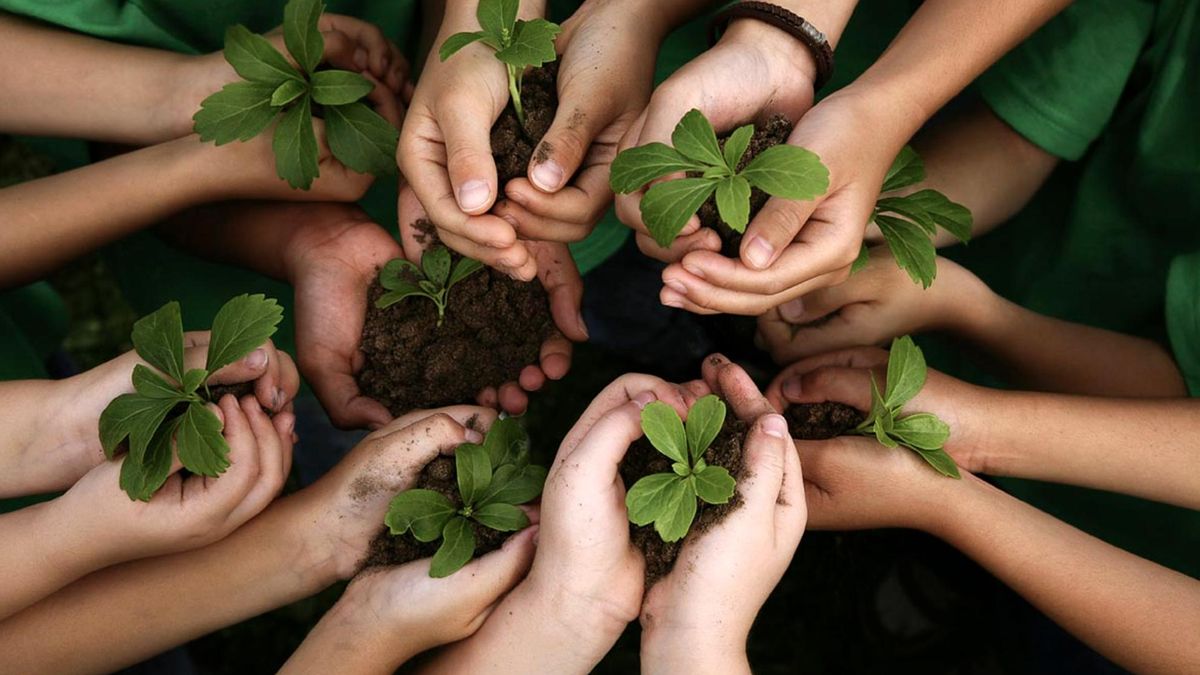 26 de enero: ¿por qué se celebra hoy el Día Mundial de la Educación Ambiental?