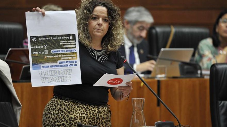 Una colaboradora del presidente de la Diputación de Badajoz renuncia al acta de diputada para que él entre en la Asamblea de Extremadura