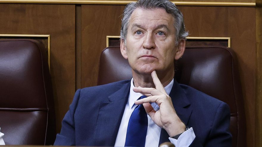 El líder del PP, Alberto Núñez Feijóo, durante la sesión de control al Gobierno que se celebra este miércoles en el Congreso. EFE/ Chema Moya