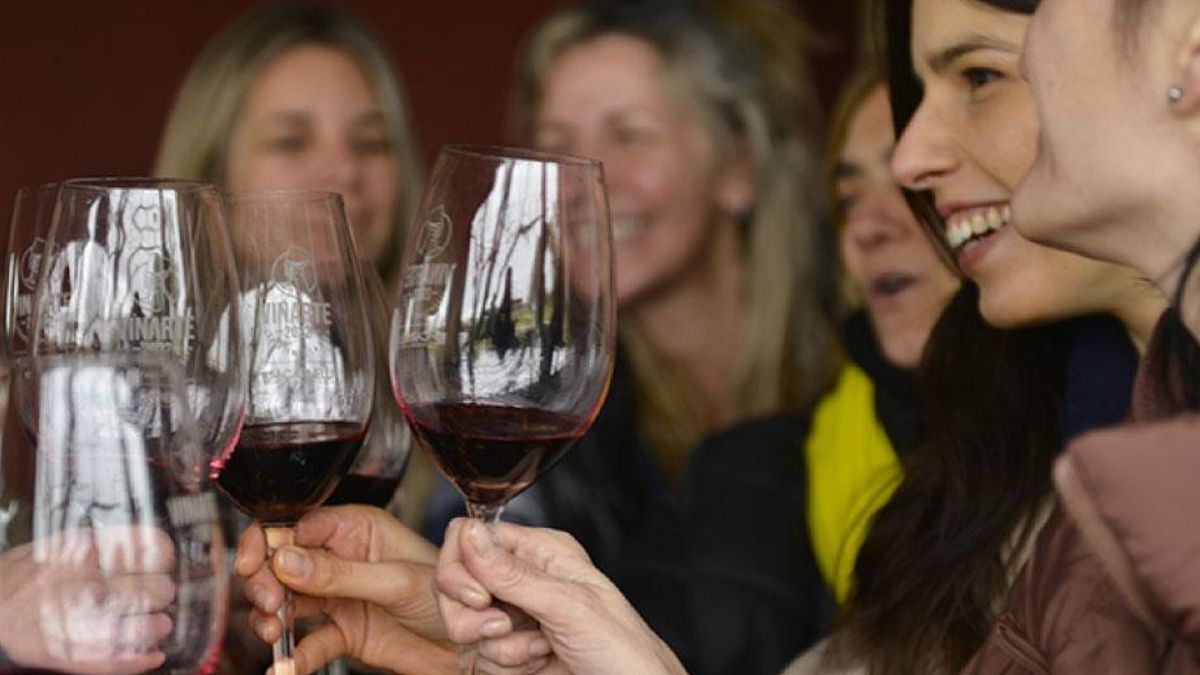 Experiencia de vinos en Junin.