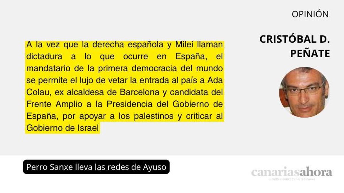 Perro Sanxe lleva las redes de Ayuso