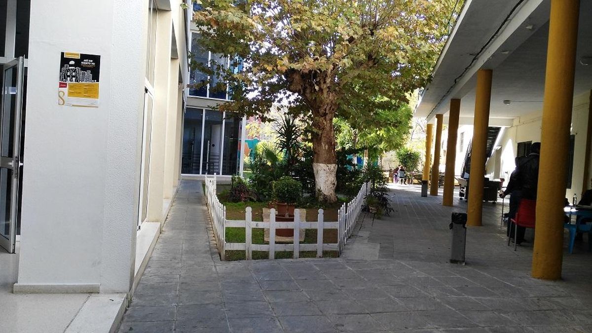 Imagen del interior de un albergue de Sevilla