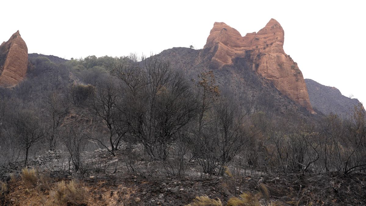 The medulla and their villages teach the embers of their tragedy, in images.