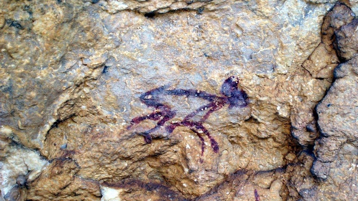 El arte rupestre de Nerpio será protegido con un proyecto que abrirá al público un nuevo enclave hasta ahora inaccesible