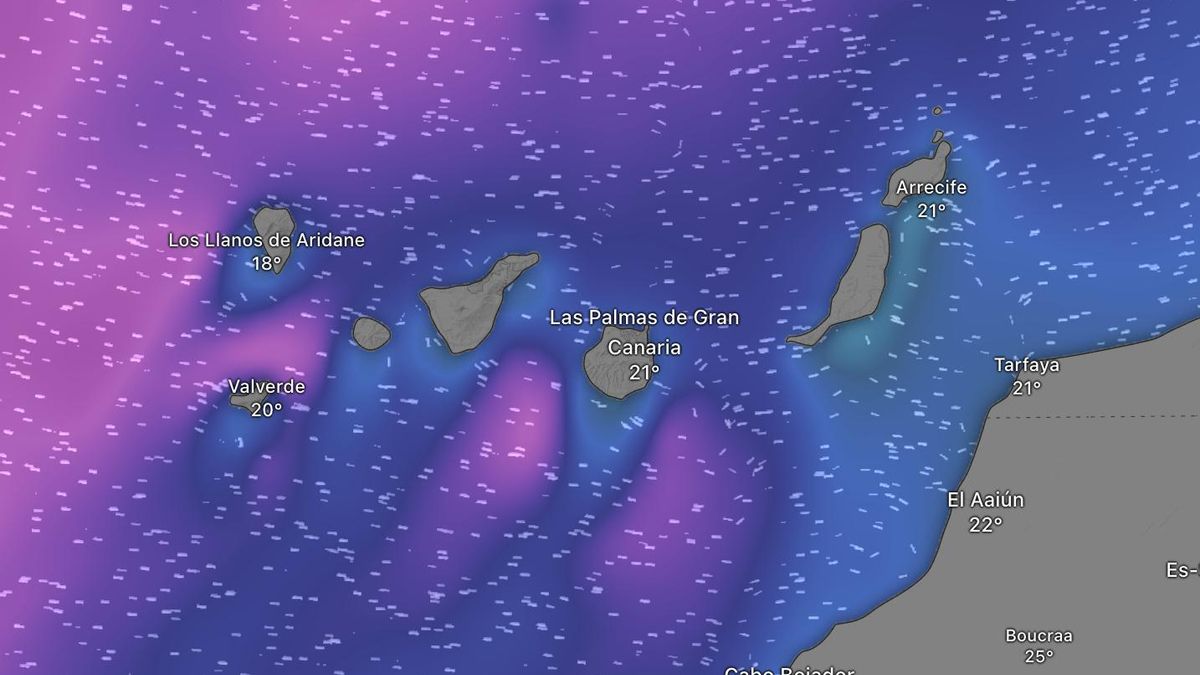 Oleaje previsto en Canarias este martes. Los colores cálidos indican mayor tamaño de las olas.