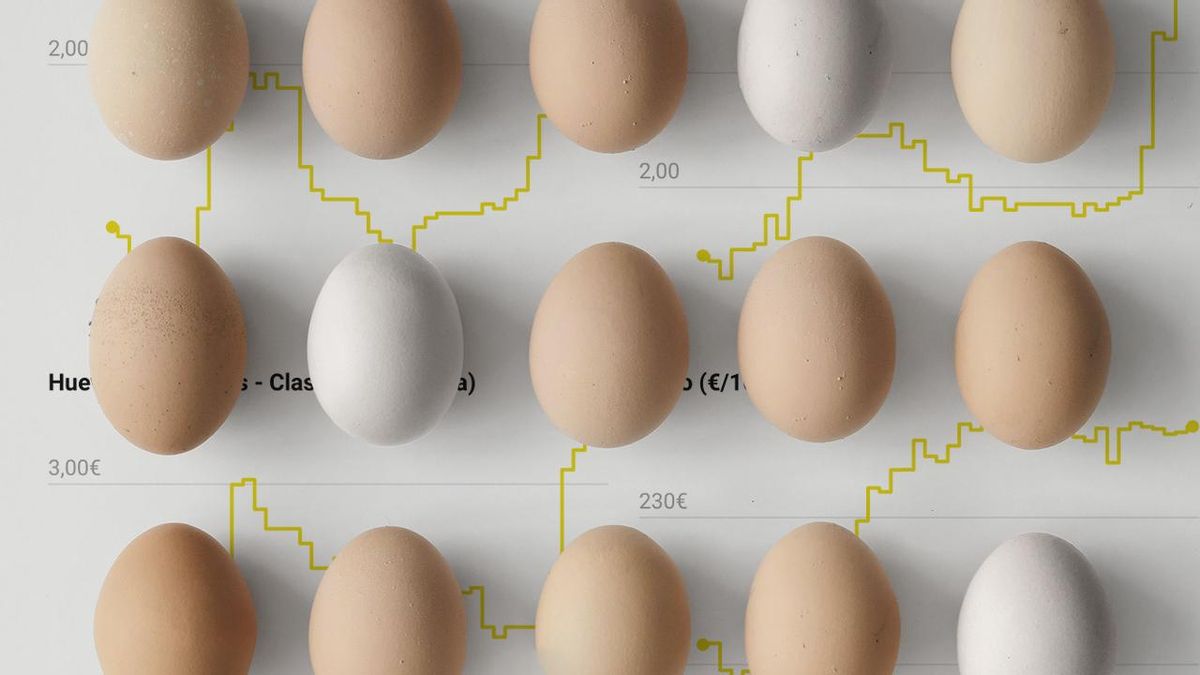 La gripe aviar dispara el precio del huevo y los productores temen la especulación: "No va a haber problemas de oferta"