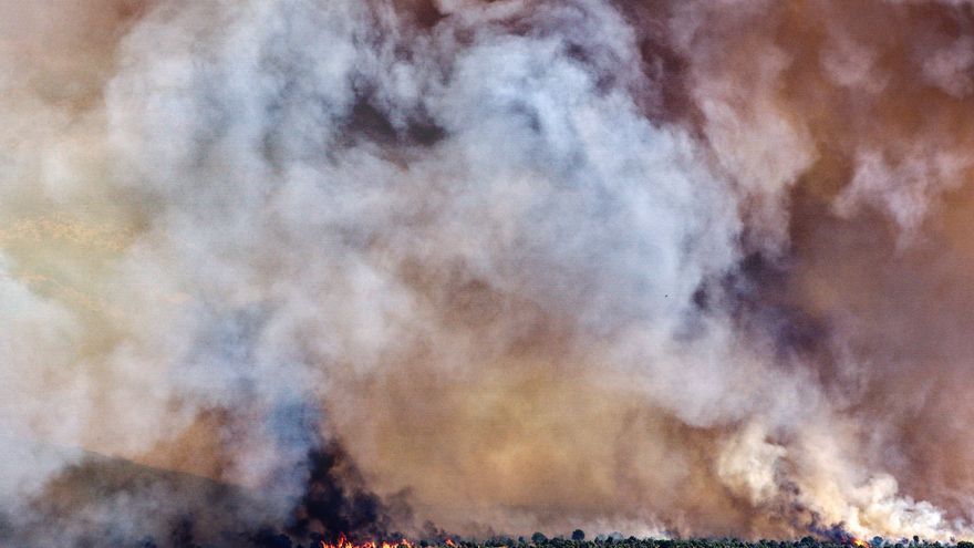 Extinguido el incendio de Navaluenga (Ávila) 10 días después de su inicio