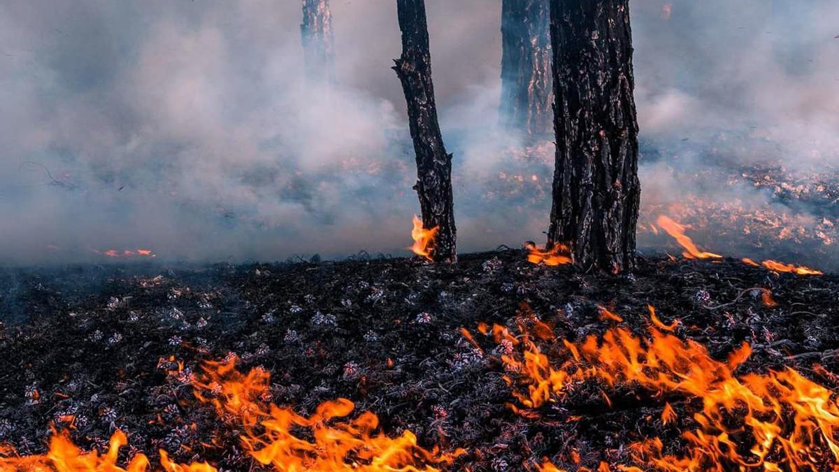 Mientras Aragón arde, la ciencia busca cómo evitar el próximo gran incendio: "Son fuegos mucho más complejos"