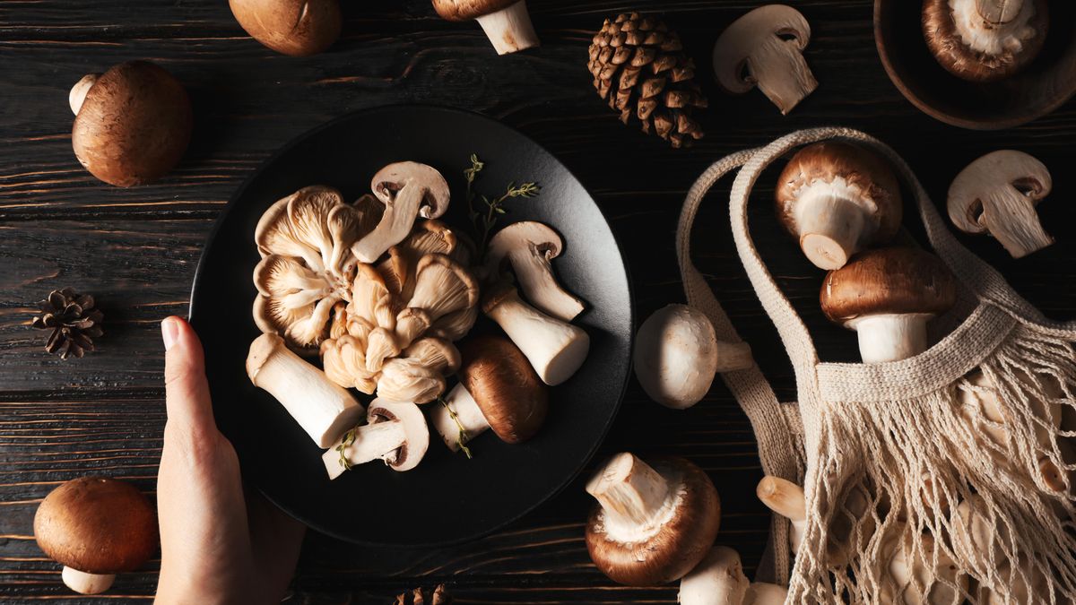 Las setas son las protagonistas de los platos otoñales por su inigualable salud y propiedades nutritivas.