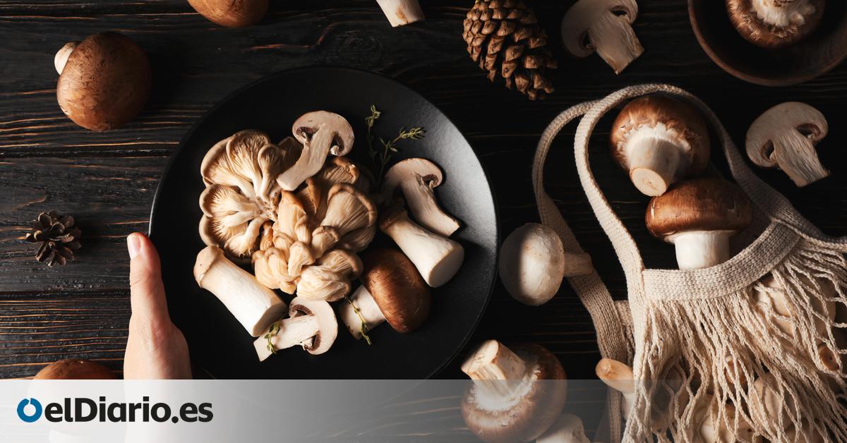 Tres recetas sabrosas y otoñales para disfrutar las setas como protagonistas del plato