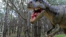 Un dinosaurio a tamaño real colocado en el Parque de los Dinosaurios de Lourinha en Portugal en febrero de 2018.