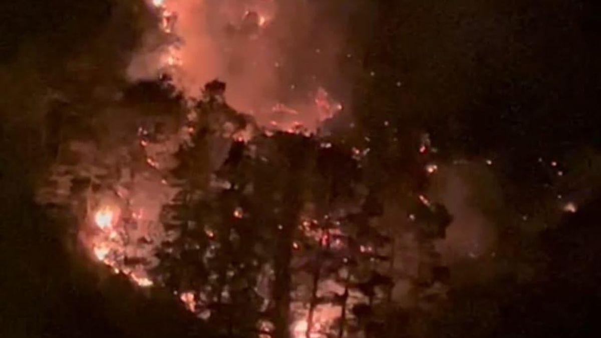 Bomberos de Bizkaia trabajan en un incendio en Güeñes complicado por las fuertes rachas de viento