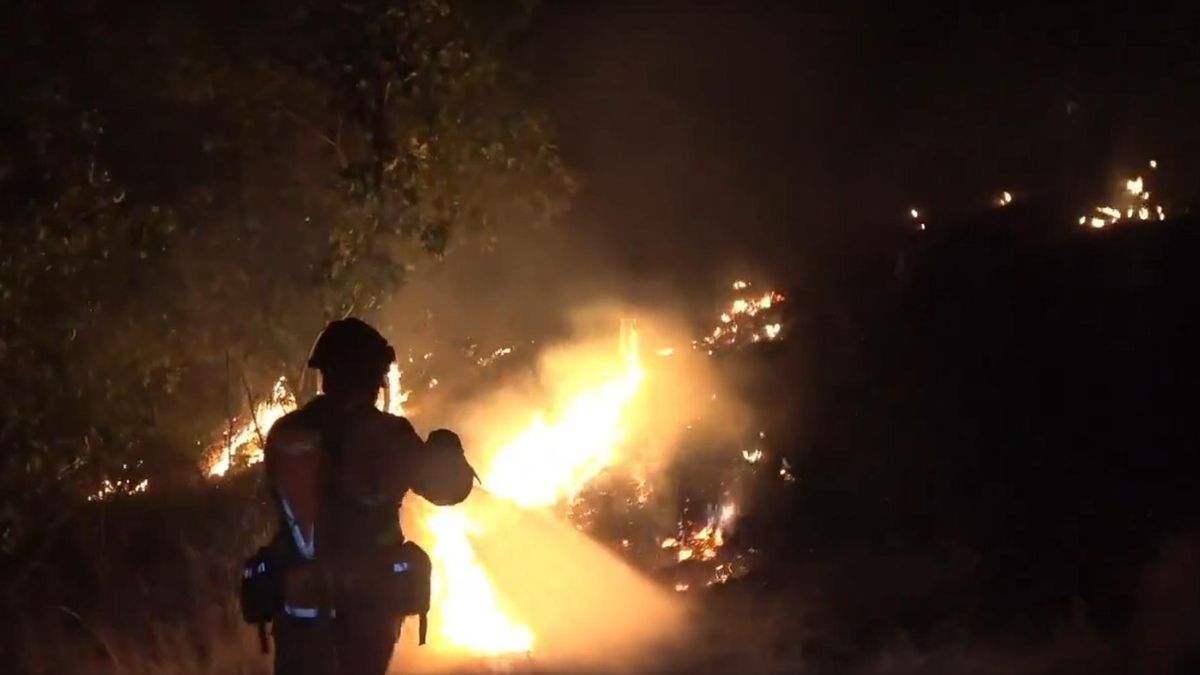 El incendio de La Mierla ha arrasado 13.000 hectáreas tras avanzar 14 kilómetros en Guadalajara durante la noche
