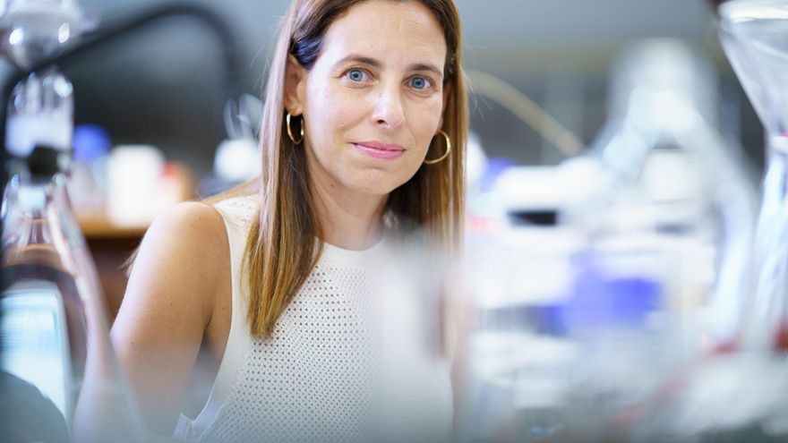 Las bacterias marinas del volcán Tagoro, con potencial para uso farmacéutico