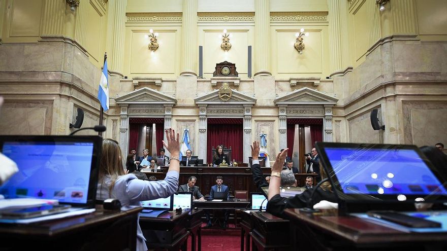 El Senado aprobó en general la reforma de la Ley de Salud Mental, que habilita internaciones involuntarias