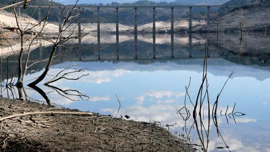 El agua cubrió también la vegetación de la zona.