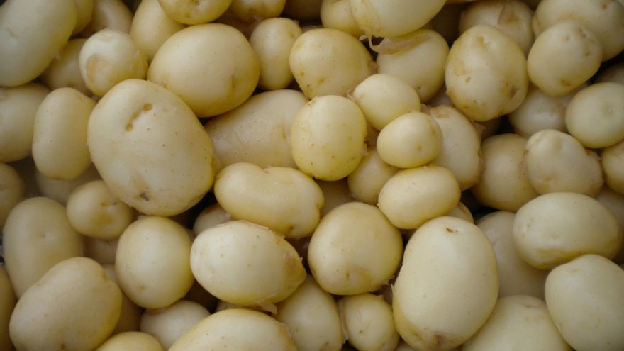 Archivo - Patatas